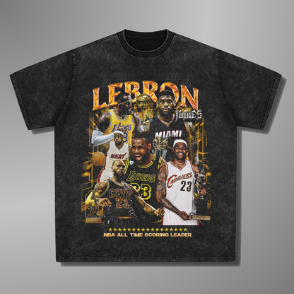 T-SHIRT LEBRON V2 